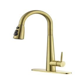 Gold Kitchen Faucets with Pull Down Sprayer; Kitchen Sink Faucet with Pull Out Sprayer; Fingerprint Resistant; Single Hole Deck Mount; Single Han (Option: as picture)